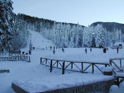 Studios-Villa Park Sv Borovets Eksteriør billede